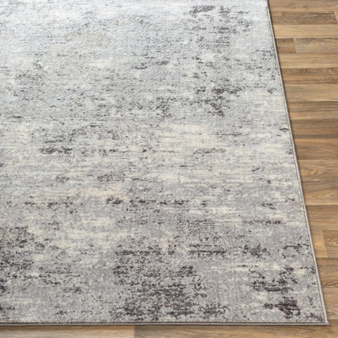 Image of Surya Wanderlust Modern Silver Gray, White, Charcoal Rugs WNL-2310