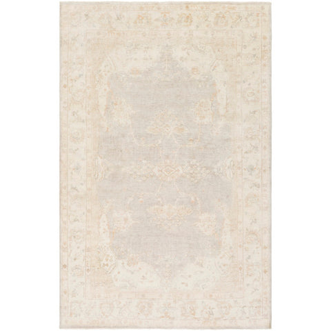 Image of Surya Westchester Traditional Ivory, Taupe, Light Gray, Sea Foam Rugs WTC-8005