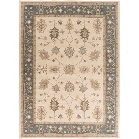 Image of Surya Middleton Traditional Khaki, Teal, Tan, Dark Brown, Sea Foam Rugs AWHR-2050