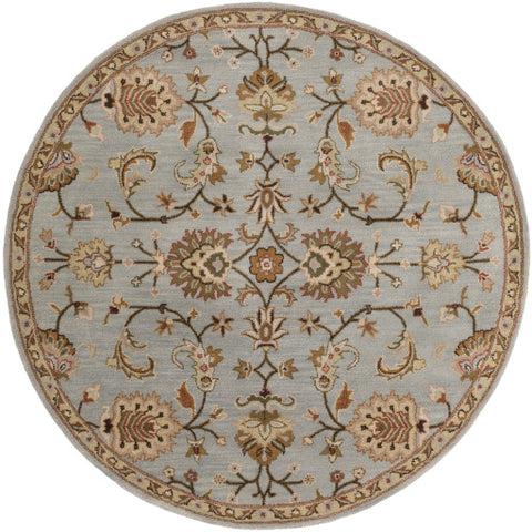 Image of Surya Middleton Traditional Medium Gray, Dark Brown, Taupe, Tan, Rust, Khaki, Cream Rugs AWMD-1004