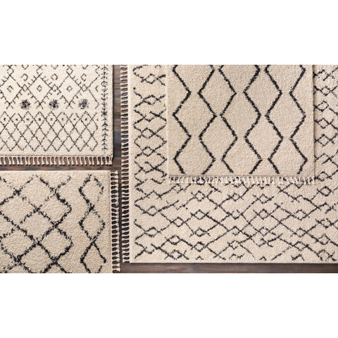 Image of Surya Berber Shag Global Charcoal, Beige Rugs BBE-2303