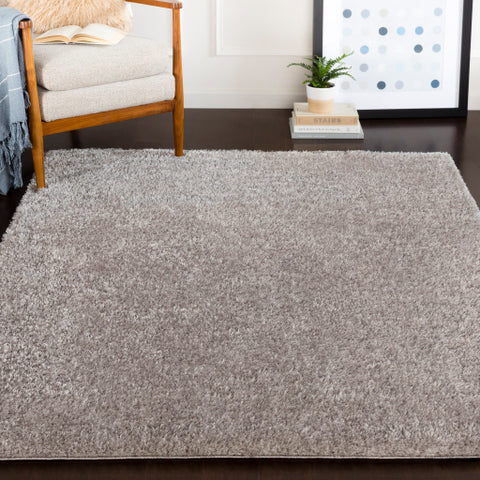 Image of Surya Alaska Shag Modern Taupe Rugs AAS-2300