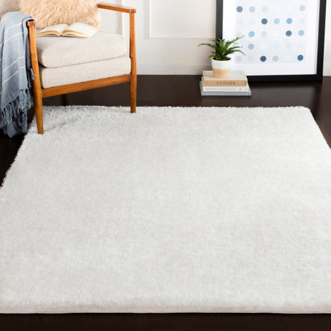 Image of Surya Alaska Shag Modern White Rugs AAS-2301