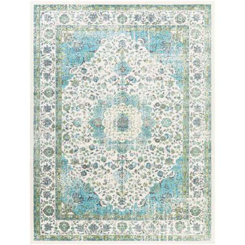 Image of Surya Aberdine Traditional Aqua, Teal, Olive, Ivory, Charcoal, Medium Gray Rugs ABE-8004