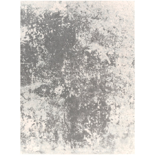 Surya Aberdine Modern Medium Gray, Charcoal, Ivory Rugs ABE-8013