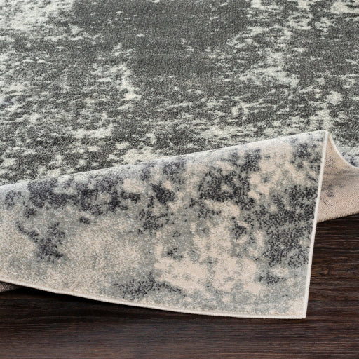 Surya Aberdine Modern Medium Gray, Charcoal, Ivory Rugs ABE-8013