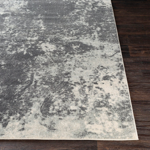 Image of Surya Aberdine Modern Medium Gray, Charcoal, Ivory Rugs ABE-8013