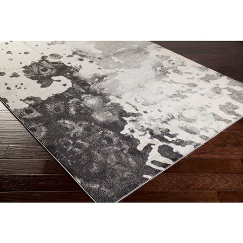 Image of Surya Aberdine Modern Medium Gray, Charcoal, Black, Ivory Rugs ABE-8016