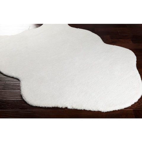 Image of Surya Arctic Modern White Rugs ACI-1000