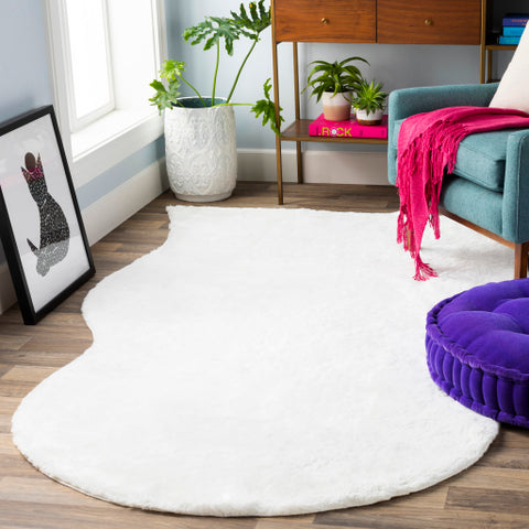 Image of Surya Arctic Modern White Rugs ACI-1000