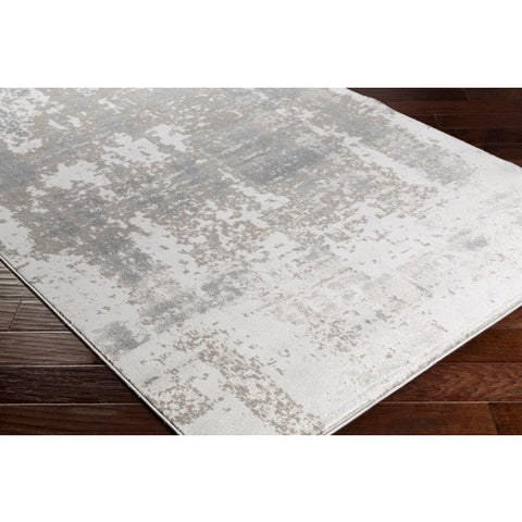 Image of Surya Amadeo Modern Charcoal, Taupe Rugs ADO-1004