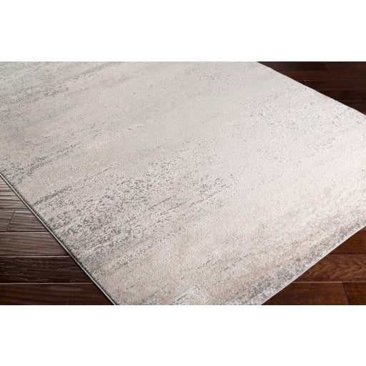 Surya Amadeo Modern Dark Brown, Taupe, Cream, Ivory Rugs ADO-1011