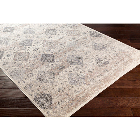 Image of Surya Amadeo Traditional Taupe, Ivory, Medium Gray, Beige, Charcoal Rugs ADO-1018