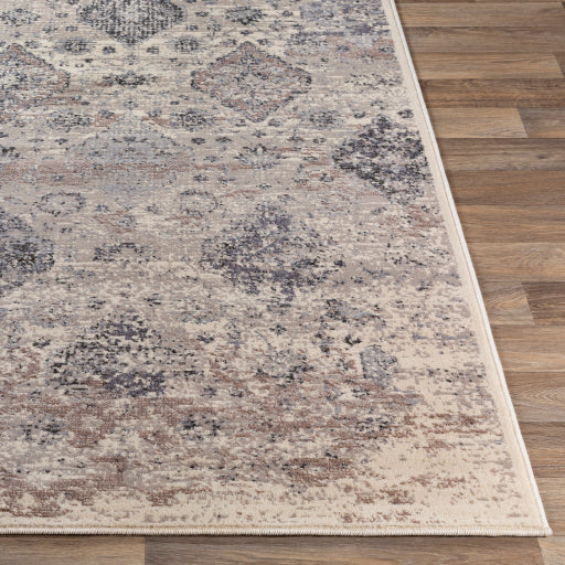 Surya Amadeo Traditional Taupe, Ivory, Medium Gray, Beige, Charcoal Rugs ADO-1018