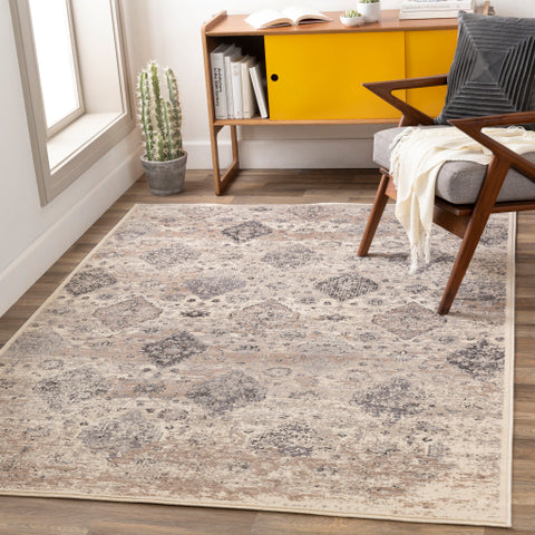 Image of Surya Amadeo Traditional Taupe, Ivory, Medium Gray, Beige, Charcoal Rugs ADO-1018