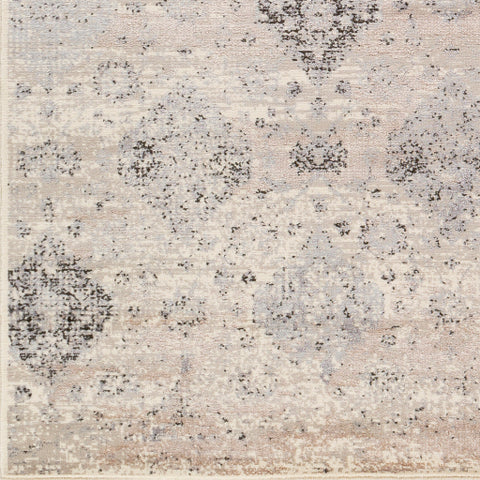 Image of Surya Amadeo Traditional Taupe, Ivory, Medium Gray, Beige, Charcoal Rugs ADO-1018