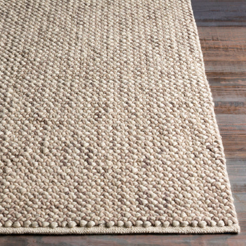 Image of Surya Avera Modern Taupe, Cream Rugs AER-1002