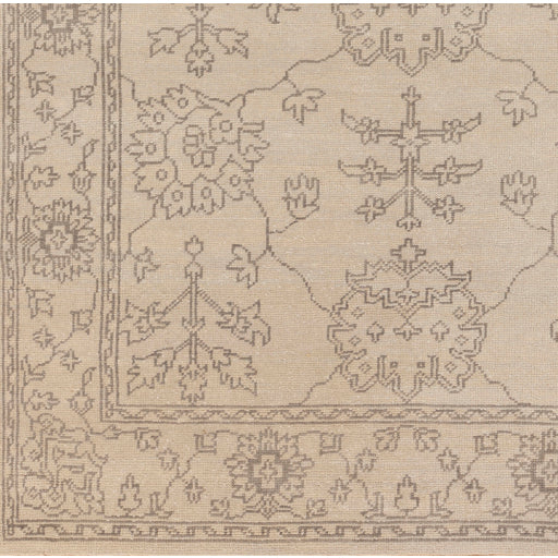 Surya Ainsley Traditional Khaki, Charcoal Rugs AIN-1018