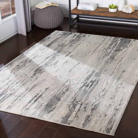 Image of Surya Aisha Modern Medium Gray, Charcoal, Light Gray, White Rugs AIS-2304