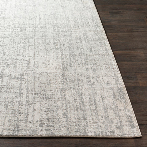 Image of Surya Aisha Modern Light Gray, Medium Gray, White Rugs AIS-2305