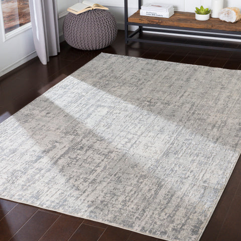 Image of Surya Aisha Modern Light Gray, Medium Gray, White Rugs AIS-2305