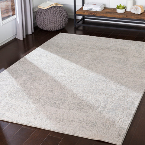 Image of Surya Aisha Traditional Light Gray, White Rugs AIS-2307