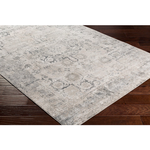 Image of Surya Aisha Modern Taupe, Ivory, Charcoal, Medium Gray, Silver Gray Rugs AIS-2316