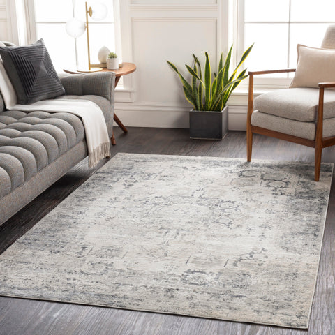 Image of Surya Aisha Modern Taupe, Ivory, Charcoal, Medium Gray, Silver Gray Rugs AIS-2316