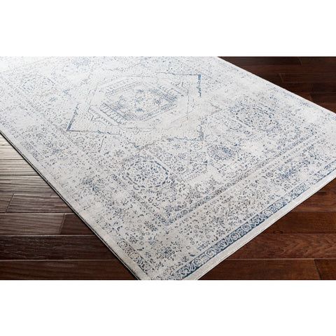 Image of Surya Aisha Traditional Charcoal, Taupe, Ivory, Dark Blue Rugs AIS-2318