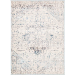 Surya Ankara Traditional Pale Blue, Light Gray, Bright Blue, Ivory, Camel, Cream Rugs AKR-2310