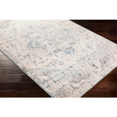 Image of Surya Ankara Traditional Pale Blue, Light Gray, Bright Blue, Ivory, Camel, Cream Rugs AKR-2310