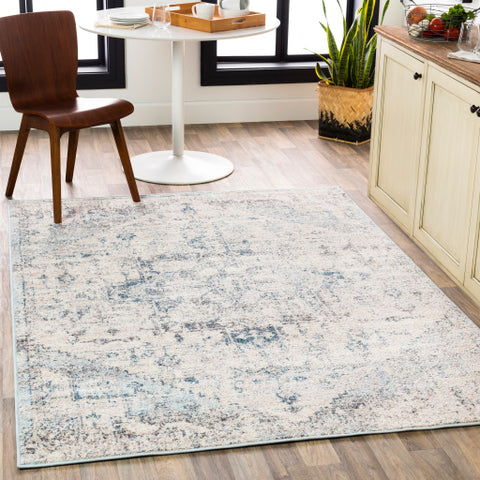 Image of Surya Ankara Traditional Pale Blue, Light Gray, Bright Blue, Ivory, Camel, Cream Rugs AKR-2310