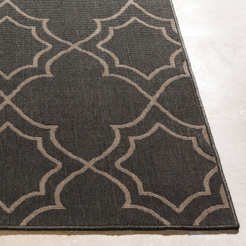 Image of Surya Alfresco Cottage Black, Camel Rugs ALF-9590