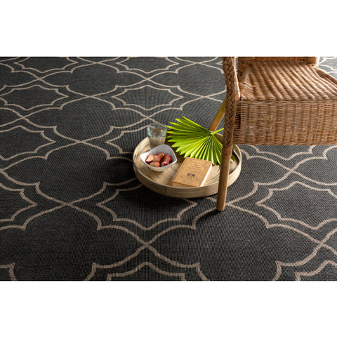 Image of Surya Alfresco Cottage Black, Camel Rugs ALF-9590