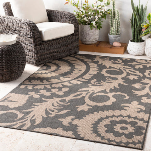 Image of Surya Alfresco Cottage Black, Camel Rugs ALF-9615