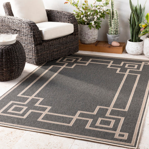 Image of Surya Alfresco Cottage Black, Camel, Cream Rugs ALF-9630