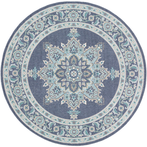 Image of Surya Alfresco Traditional Charcoal, Aqua, Taupe, White, Teal Rugs ALF-9670