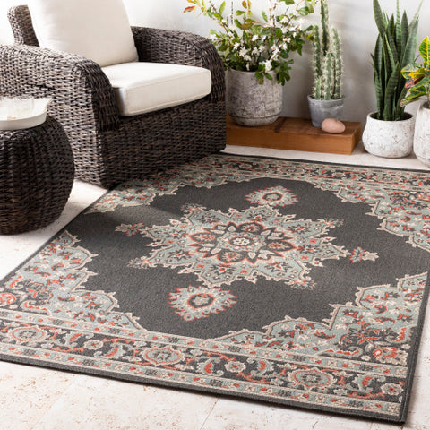 Image of Surya Alfresco Traditional Black, Sea Foam, Camel, Burnt Orange, White Rugs ALF-9671