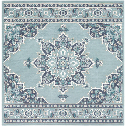 Image of Surya Alfresco Traditional Charcoal, Aqua, Teal, White Rugs ALF-9687