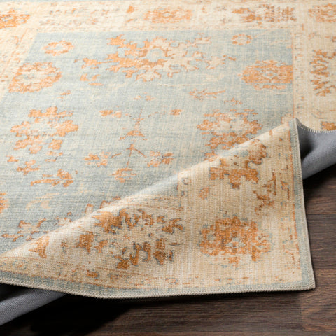Image of Surya Amelie Traditional Aqua, Tan, Camel, Butter Rugs AML-2302
