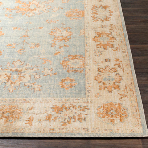 Image of Surya Amelie Traditional Aqua, Tan, Camel, Butter Rugs AML-2302