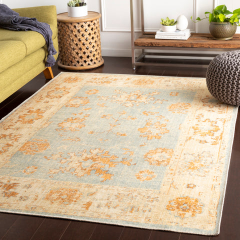 Image of Surya Amelie Traditional Aqua, Tan, Camel, Butter Rugs AML-2302