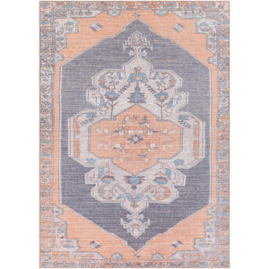 Surya Amelie Traditional Peach, Camel, Medium Gray, Taupe, Denim, Tan Rugs AML-2327