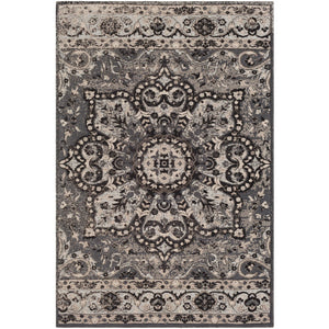 Surya Amsterdam Traditional Charcoal, Medium Gray, Ice Blue, Ivory Rugs AMS-1018