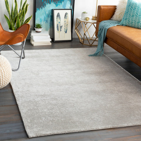 Image of Surya Aspen Modern Medium Gray, White Rugs ANP-2304