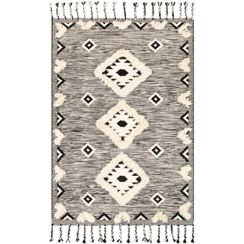 Image of Surya Apache Global Black, Cream Rugs APA-2302