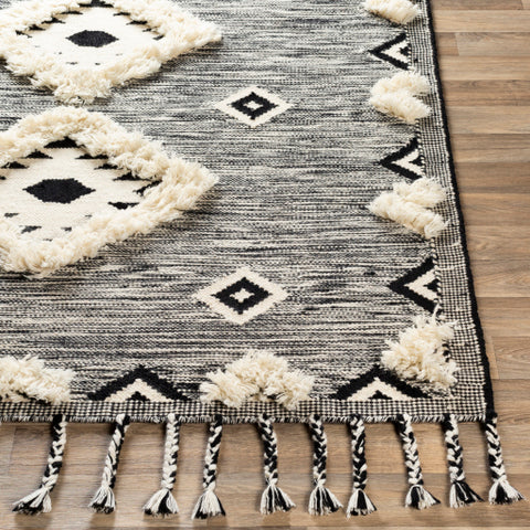 Image of Surya Apache Global Black, Cream Rugs APA-2302