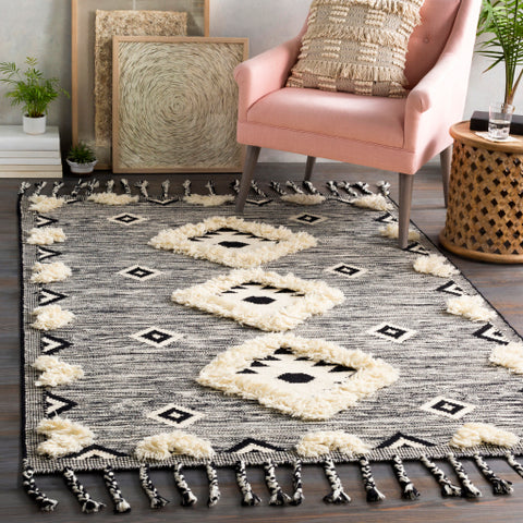 Image of Surya Apache Global Black, Cream Rugs APA-2302