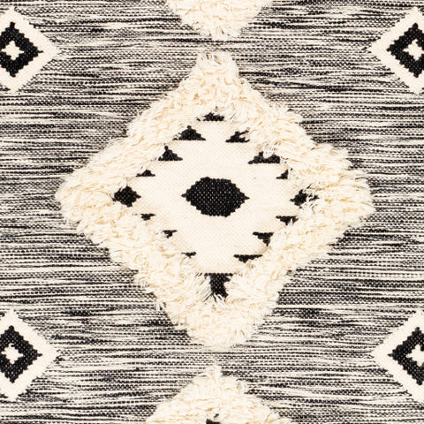 Image of Surya Apache Global Black, Cream Rugs APA-2302