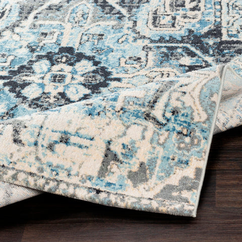 Image of Surya Apricity Traditional Sky Blue, Pale Blue, White, Medium Gray, Light Gray, Cream Rugs APY-1014